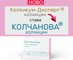 Kolchanova_banner